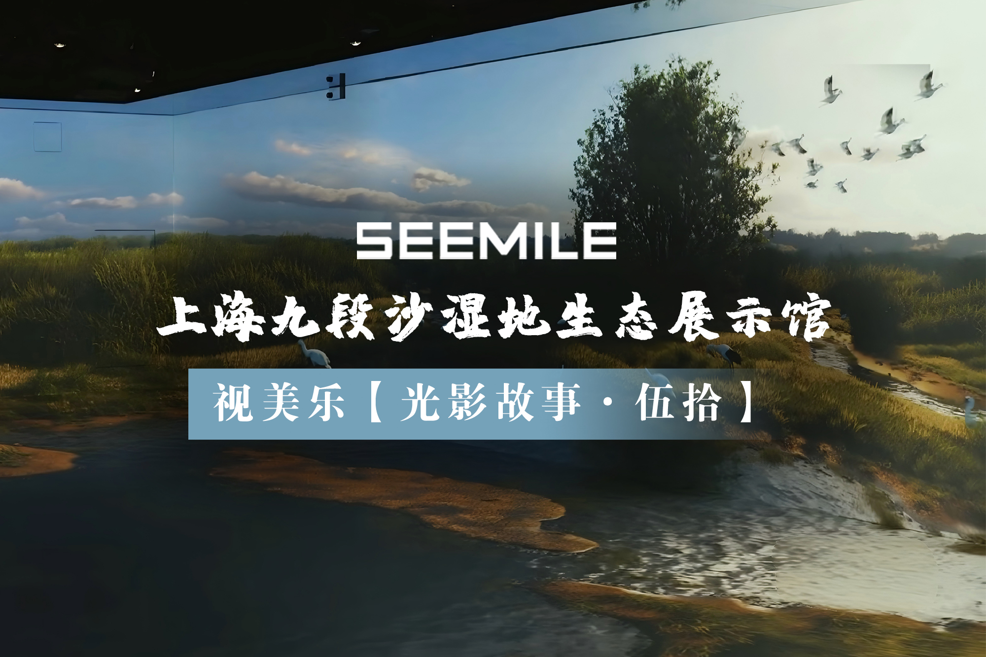 光影探秘九段沙，视美乐以创新投影技术演绎湿地生态自然秀